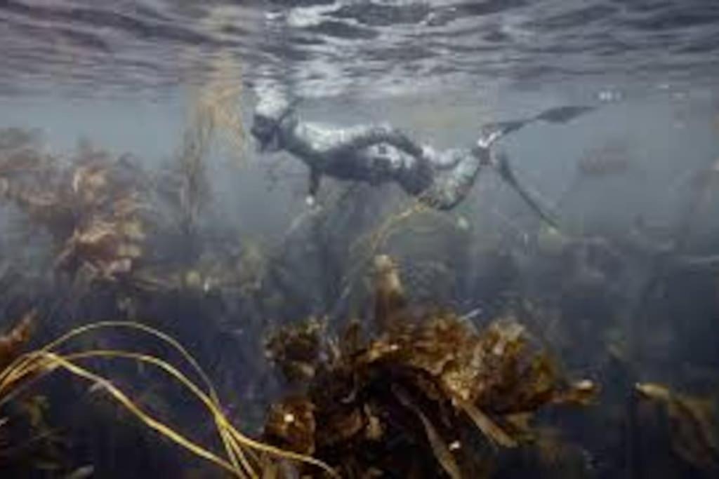 Gite Entre Mer Et Abers Landéda Exterior foto